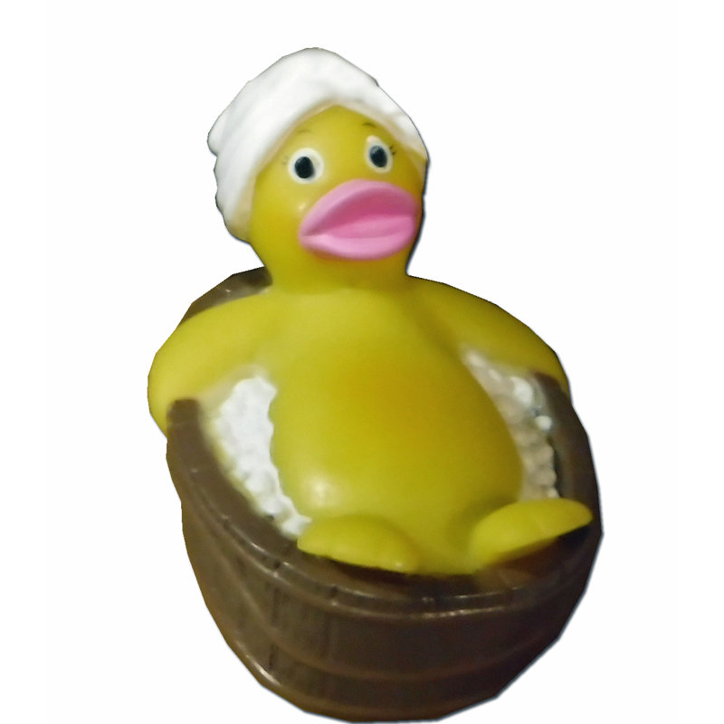 Smart Spa Hot Tub Floating Duck Toy & Reviews Wayfair